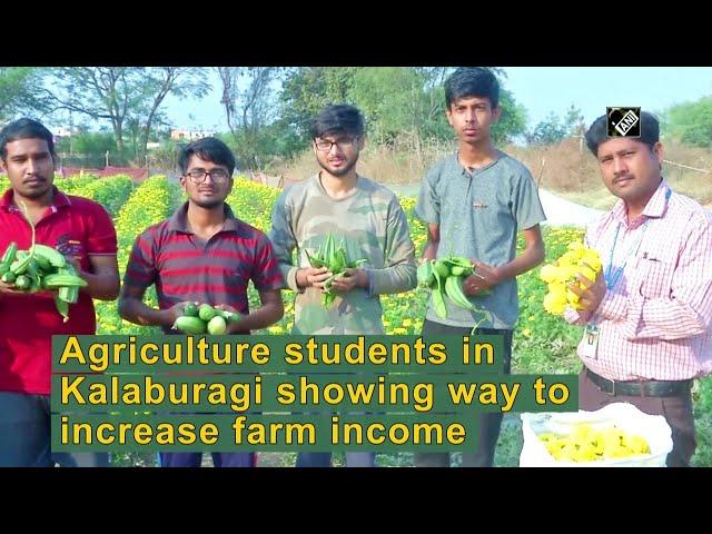 Agriculture students in Kalaburagi showing way to increase farm income