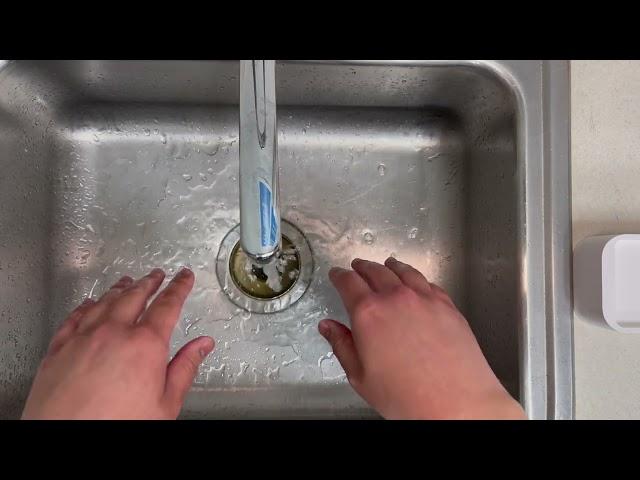 Credentia CNA Skill 1: Hand Hygiene (Handwashing)