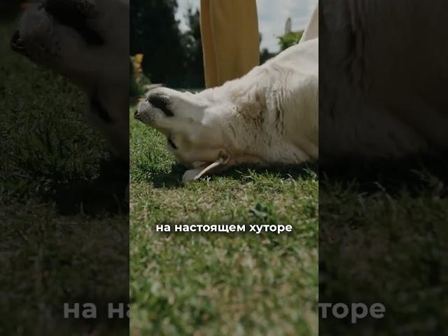 Уникальный экотур "Роминта" #калининград