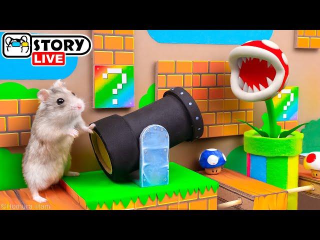 The World's Largest Hamster Super Mario Maze  Homura Ham Pets