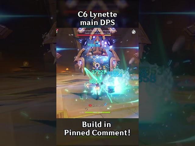 LV.90 C6 LYNETTE MAIN DPS