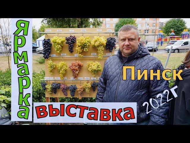 Виноград Полесья .Выставка -ярмарка г. Пинск-2022года.