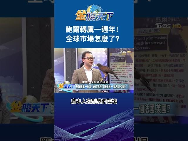 鮑爾轉鷹一週年！全球市場怎麼了？#金臨天下 #shorts