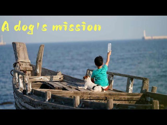 [Family Drama] "The Little Dog" The world of dogs is the most persistent