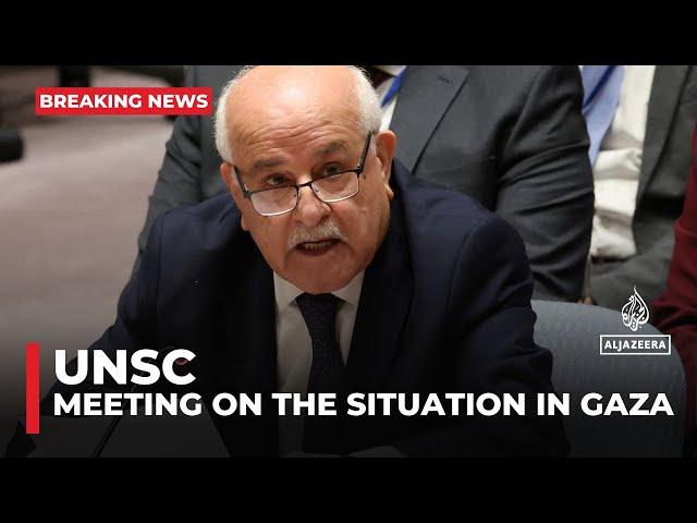 UNSC briefing on risk of famine in northern Gaza