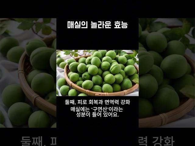 여름철 건강 지킴이! 매실이 몸에 좋은 이유