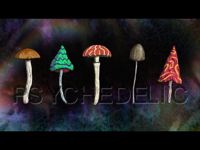 Psychedelic Visuals on Deep Relaxing Music  Mushroom Trippy Videos 4K