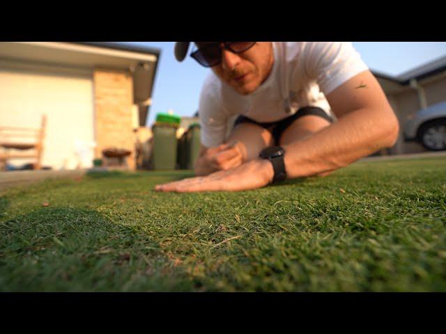 Making A Putting Green At Home // TifTuf Bermuda (Couch)