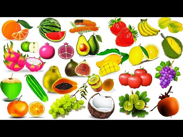 এসো শিখি ফলের নাম | Fruits Names | Fruits Vocabulary 🫒