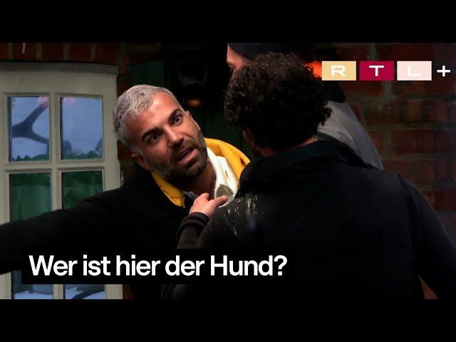 REVIERMARKIERUNG von Rafi bei Umut | Das Sommerhaus der Stars