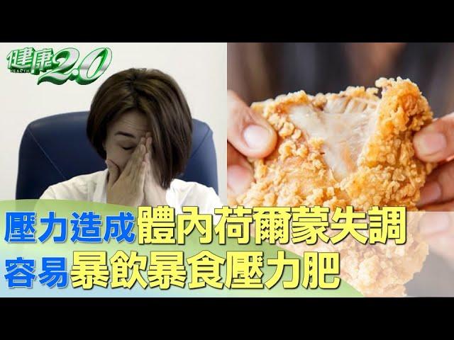 壓力造成體內荷爾蒙失調 容易暴飲暴食壓力肥 健康2.0 @tvbshealth20