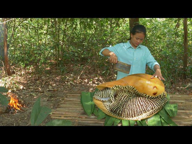 Monster Sea Snail Cooking In Rainforest - Giant Seafood Cooking Incredible