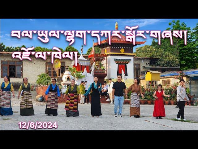 Lhakar Gorshey / བལ་ཡུལ་ལྷག་དཀར་སྒོར་གཞས། | Jawalakhel Samdupling Settlement Nepal 12/6/2024 Part 1