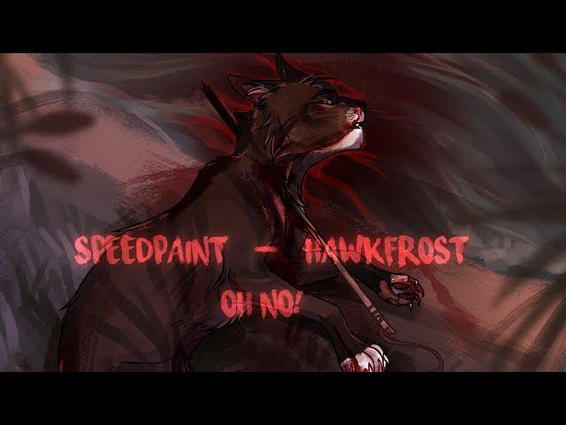 [SPEEDPAINT] Hawkfrost | Oh No!