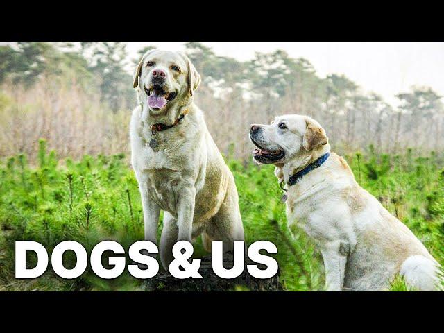 Dogs & Us - The Secret of a Friendship | Heart-warming Documentary