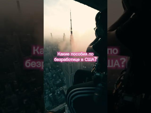 Насколько большое пособие по безработице в США? #сша #путешествия #пособия