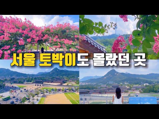 [ENG] 여기는 서울 토박이도 몰랐어요!  서울 1등 뷰 전망대 + 배롱나무꽃 명소