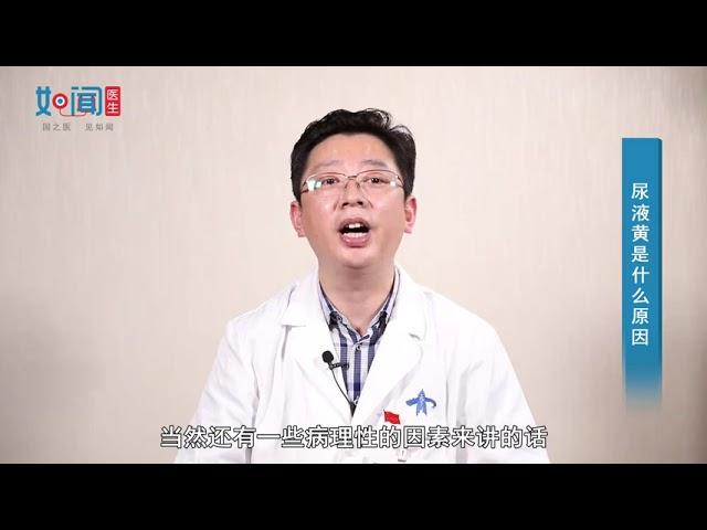 【泌尿外科】尿液黄是什么原因