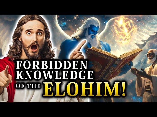 The Book of Elohim: The Hidden Rebellion That Changed Heaven, Earth, and the Future of Mankind