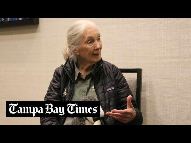 Jane Goodall to Florida kids fighting for nature: ‘Give it everything you’ve got’