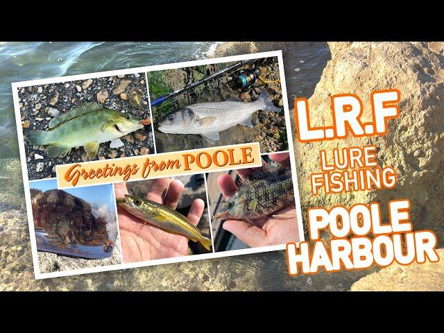 Ultra Light Lure fishing! LRF multi-species fishing in Poole Harbour, Dorset.