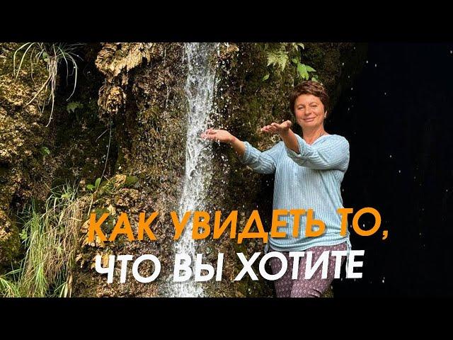 Как увидеть то, что вы хотите | Елена Ачкасова