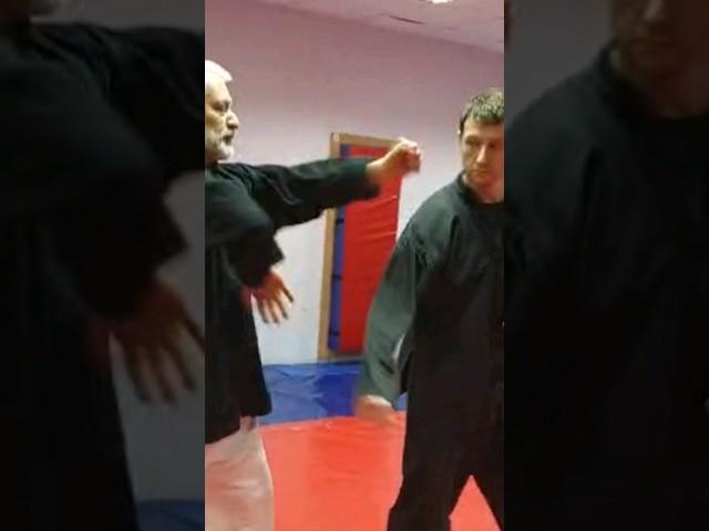 Клуб "Цюань Шу" #martialarts #sports #shorts #training