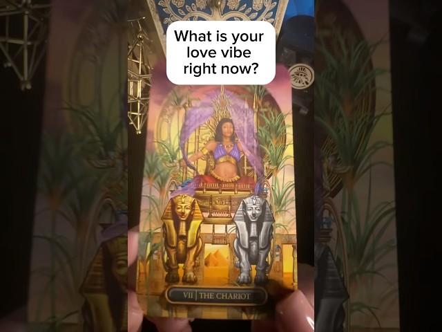 ️What is your love vibe right now?#tarot #divineguidance #claim #love