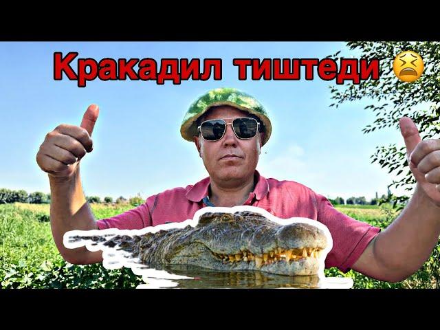 Рустам-Дарбызды бап кылды базарга