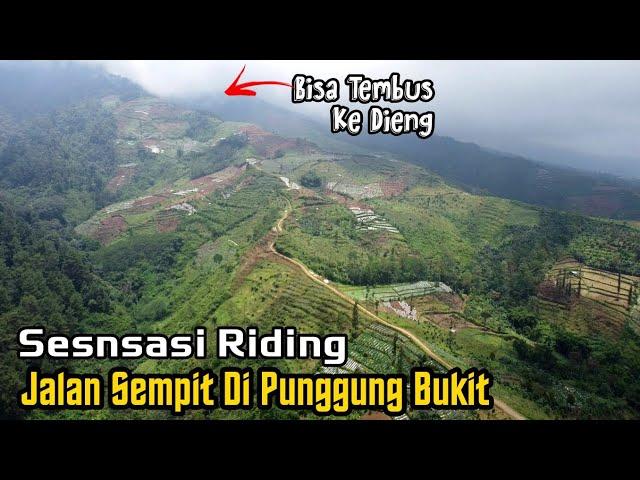 Luarbiasa Jalan Diatas Bukit Di Kaki Gunung Prau Desa Genting Gunung