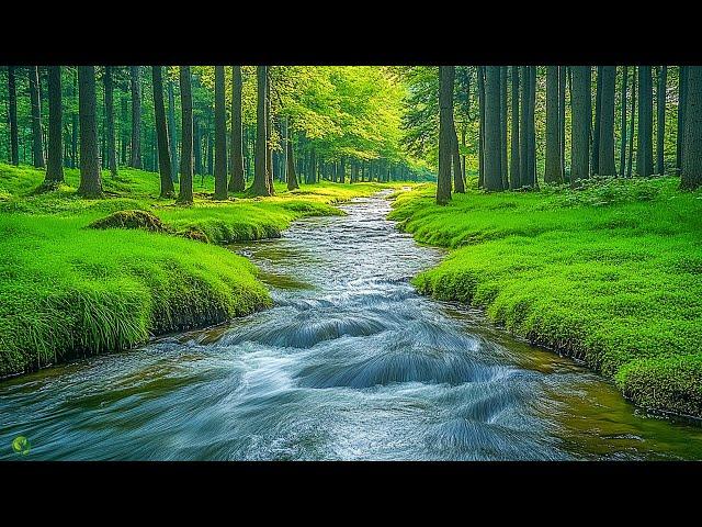 Gentle Healing Music For Health And Calming The Nervous System, Deep Relaxation