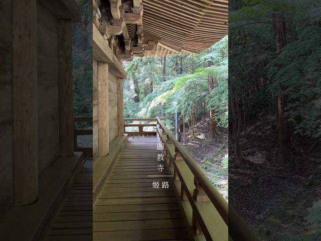 上午逛完姬路城後的好去處，書寫山圓教寺。園區廣大還有纜車可坐，值得一個半日遊。 #姬路 #書寫山圓教寺 #圓教寺 #japantravel #japan #日本景點 #姬路景點 #兵庫