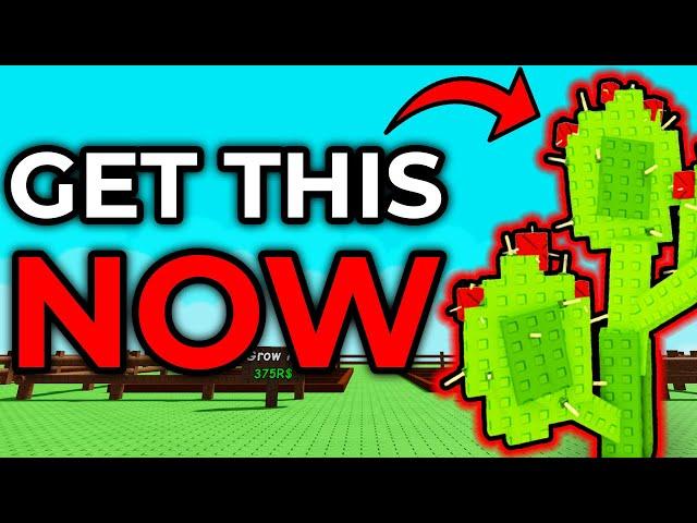 How to Get SUMMER UPDATE SEEDS EARLY in Grow a Garden!