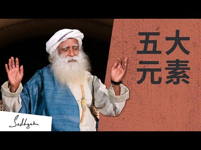 瑜伽练习本质上都是净化五大元素｜Sadhguru 萨古鲁