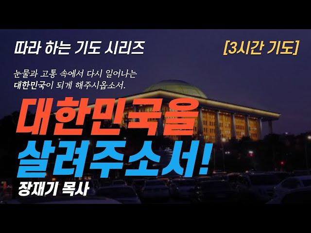 (따라하는 기도시리즈) 244 대한민국을 살리는 기도, 나라와 민족을 위한 기도, 계엄령, 대통령 / 장재기 목사 3시간 반복