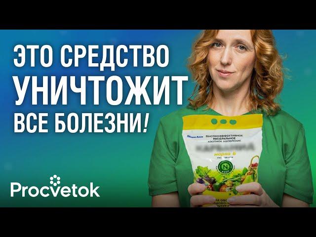 ОДНА ОБРАБОТКА ОСЕНЬЮ СПАСЕТ ОТ БОЛЕЗНЕЙ И ВРЕДИТЕЛЕЙ САДА! Главные работы осенью в плодовом саду