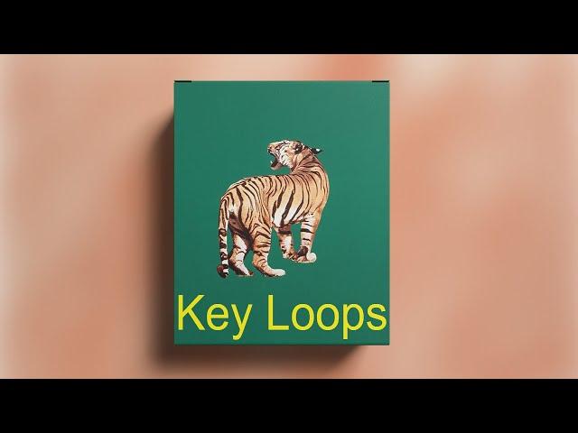 [FREE] DOWNLOAD KEY SAMPLE PACK/LOOP KIT 2022 (+8Royalty Free) | VOL:14