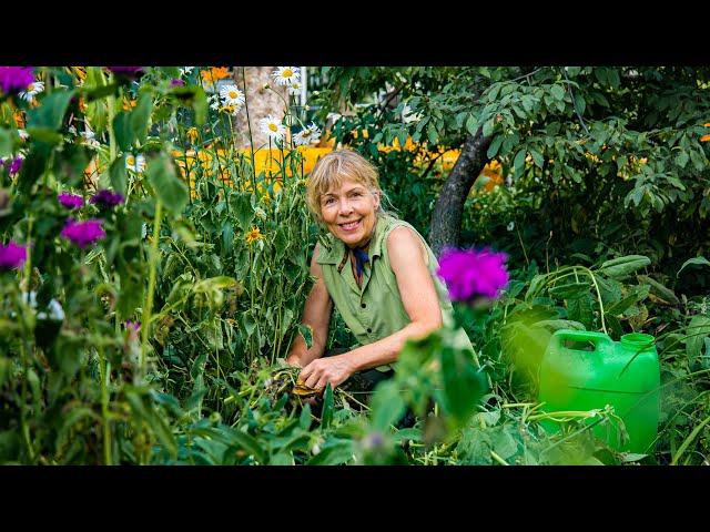 Lawn to Food Forest Permaculture Tour B.C. Canada [July 24, 2022]