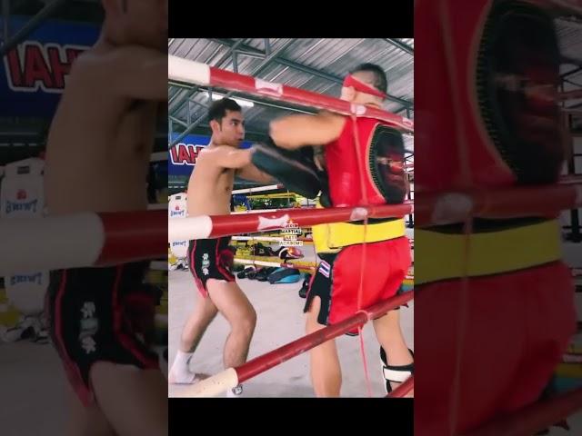 Thai Boxing Training#shorts#thaiboxing#mma