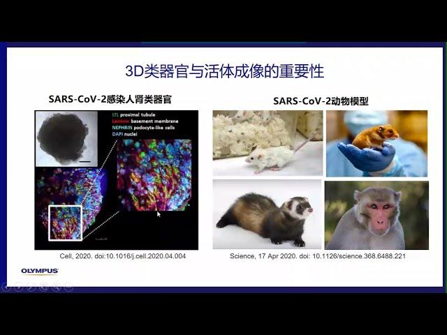 3D 类器官与活体动态深层成像解决方案   丁香播咖