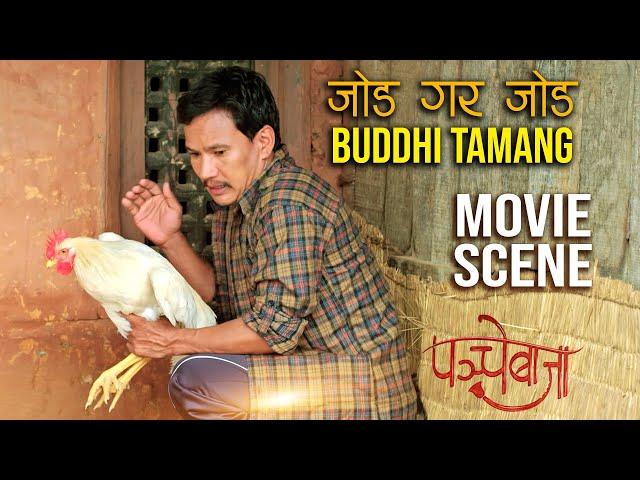 जोड गर जोड बुद्धि तामांग || Buddhi Tamang Comedy | Nepali Movie Scene | Panche Baja