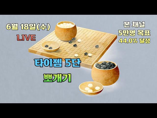[생]타이젬바둑 5단 뽀개기