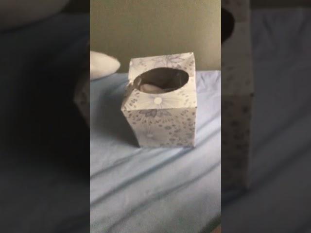 #loop