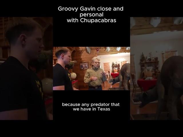 Groovy Gavin close and personal with Chupacabras