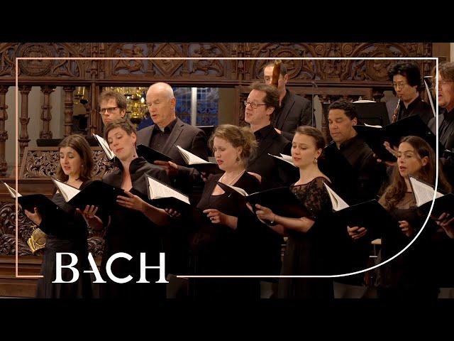 Bach - Motet Fürchte dich nicht, ich bin bei dir BWV 228 - MacLeod | Netherlands Bach Society