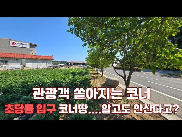 관광객  쏟아지는 코너,초당동 입구 코너땅....알고도 안산다면? #강릉부동산 #박소장 #강릉토지