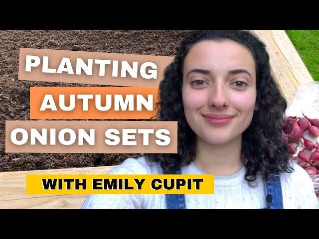 Planting Autumn Onion Sets With Emily Cupit