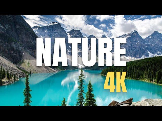 NATURE | 4K | ULTRA HD | VLOG