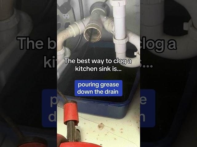 How to clog a kitchen sink.... #pompanobeach #floridalife #shortsvideo #plumbing #clog #soflo