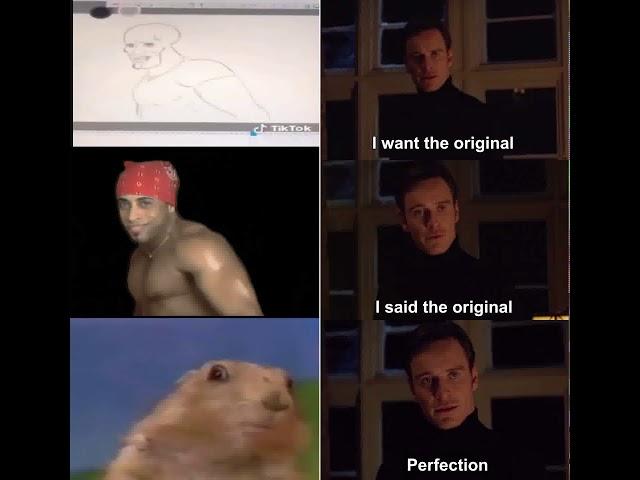 TRUE PERFECTION